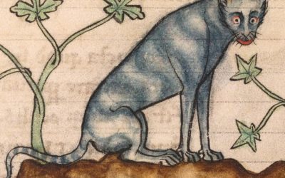 Ako vyzerali mačky na stredovekých obrazoch