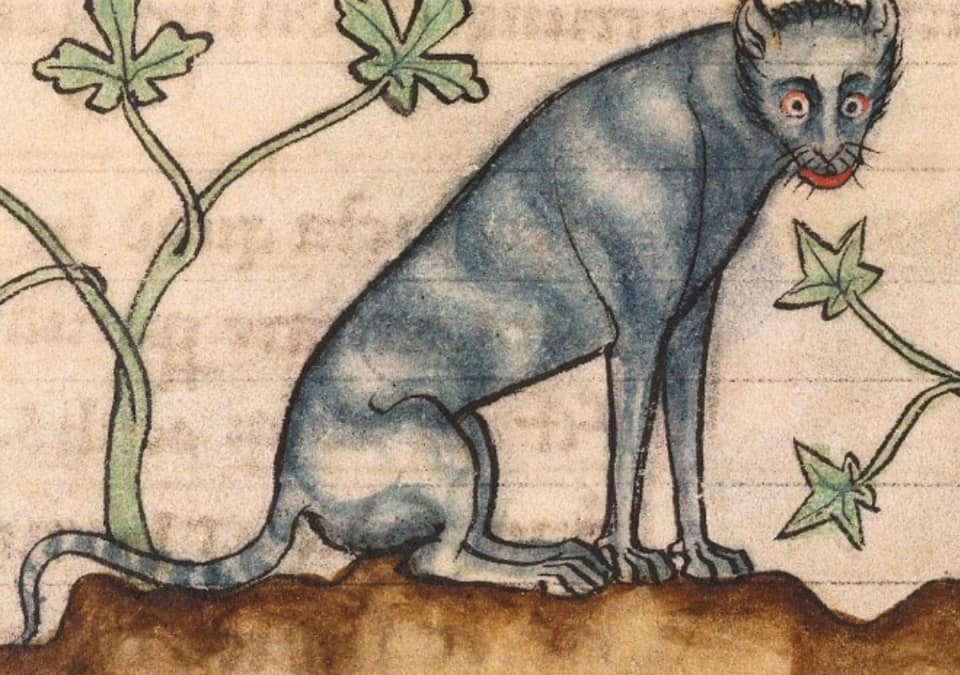 Ako vyzerali mačky na stredovekých obrazoch