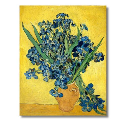 Obraz Vincent van Gogh Kosatce