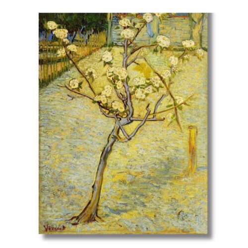 Obraz Vincent van Gogh Malá kvitnúca hruška