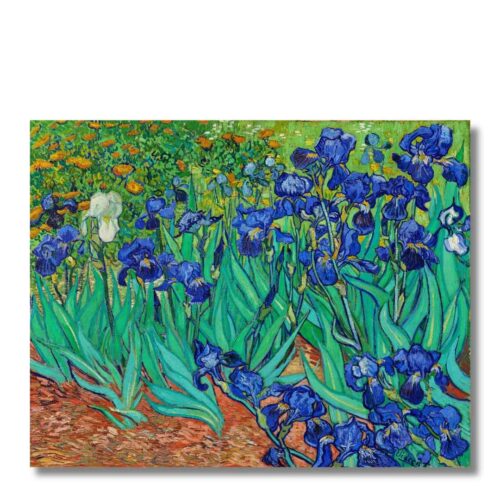 Obraz Vincent van Gogh Irisy