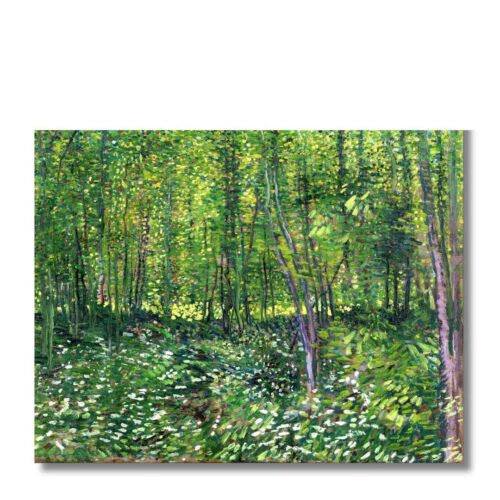 Vincent van Gogh – Les