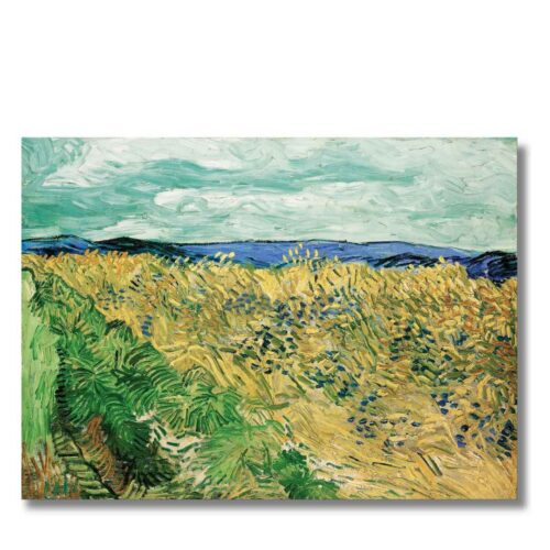 Vincent van Gogh – Pšeničné pole s nevädzami