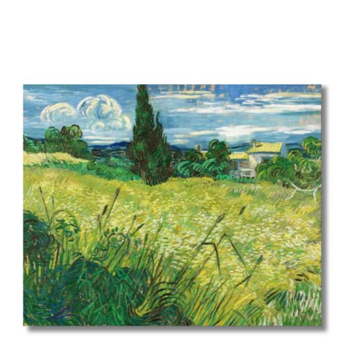 Vincent van Gogh – Zelené pole