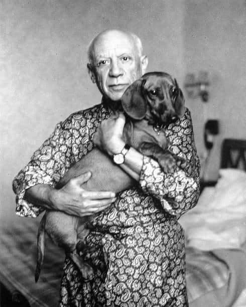 Picasso so psom menom Lump