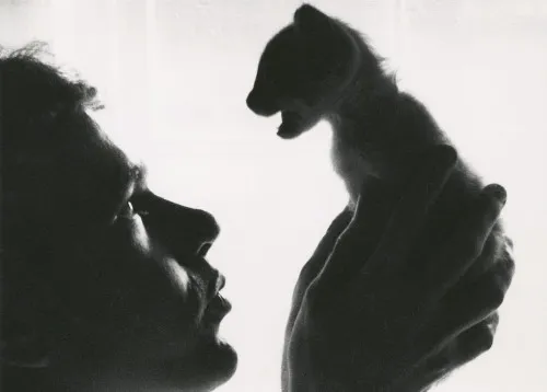 andy warhol a mačka