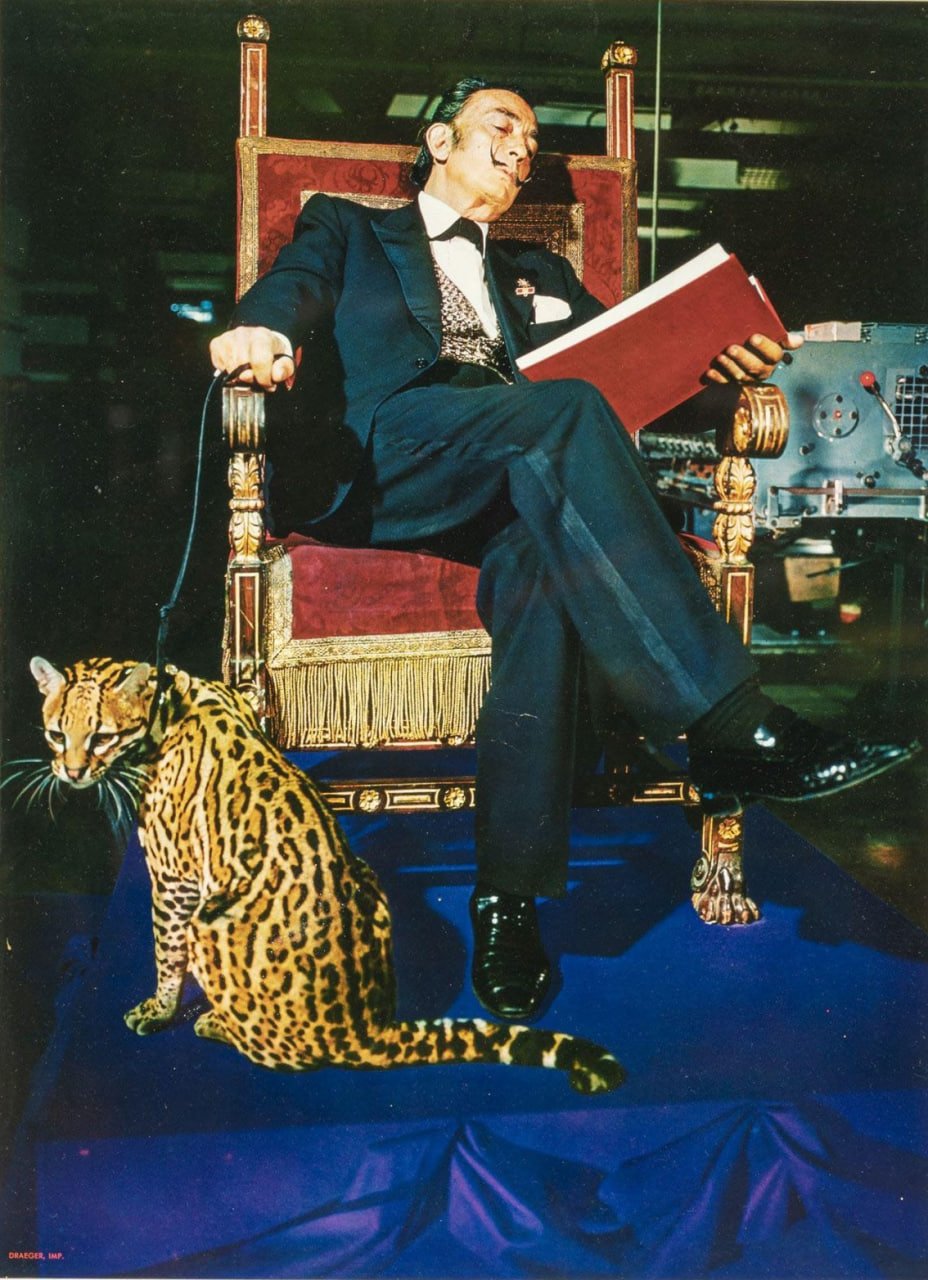 salvador dalí a ocelot Babou