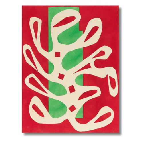 Henri Matisse - Biela riasa